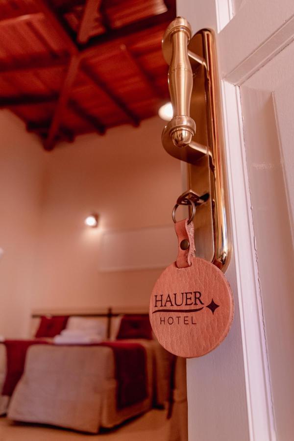 Hauer Hotel San Vicente  Dış mekan fotoğraf